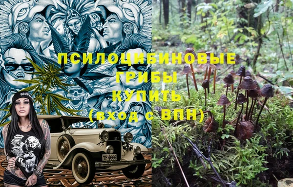 ПСИЛОЦИБИНОВЫЕ ГРИБЫ Медвежьегорск